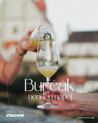 Burčák není jen sladká dobrota – je to mladé víno plné vitamínů, historie a tradice. 🍇 Chutná nejlépe čerstvý, v dobré...