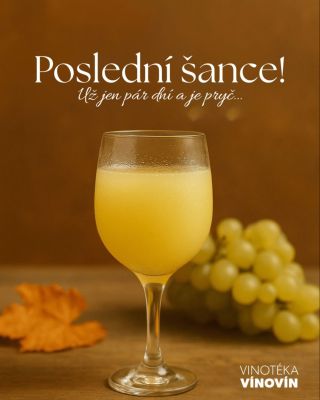 ⏳ Burčák se s námi pomalu loučí! Poslední šance vychutnat si tuhle znojemskou tradici. 🍇✨Pokud sis ještě nestihl/a dojít...
