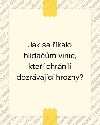 🍇 Vědomostní okénko z vinic! Jak se říkalo lidem, kteří hlídali dozrávající hrozny, aby si na úrodu nepřišel nikdo...